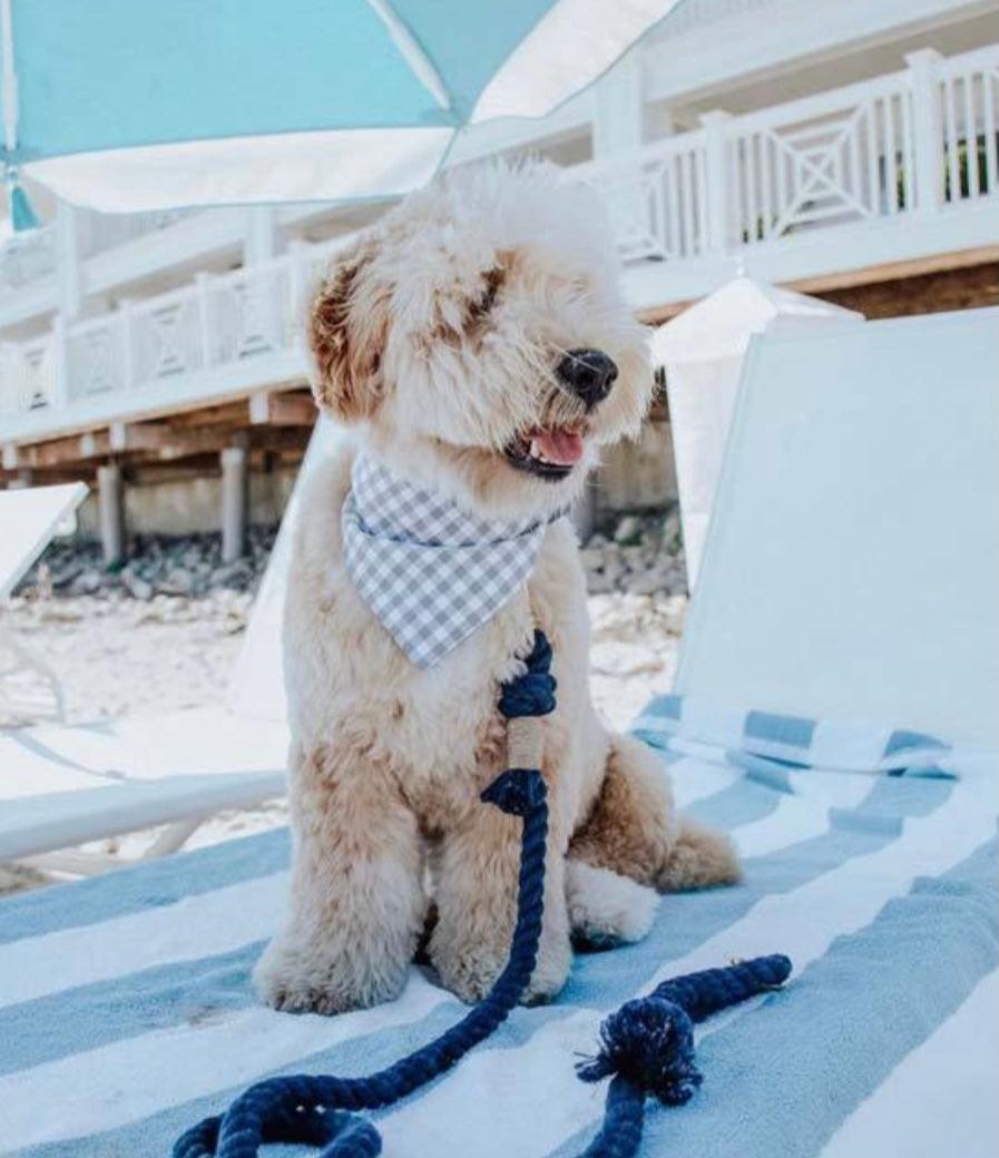 PAWSOME PETS NEW YORK ROPE LEASH - SUNSET
