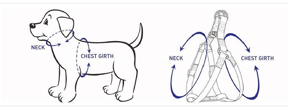 PAWSOME STEP IN HARNESS - ICE BLUE