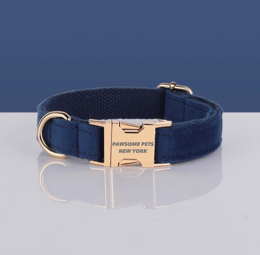 Navy Blue Velvet Dog Collar with Gold Buckle – XS to XL