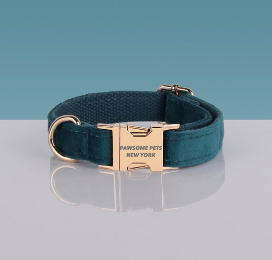 Teal Green Velvet Dog Collar with Gold Buckle – XS to XL