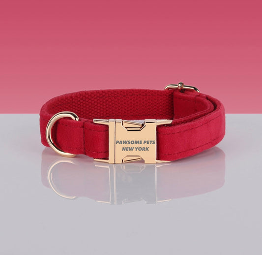 Red Velvet Dog Collar with Gold Buckle – XS to XL
