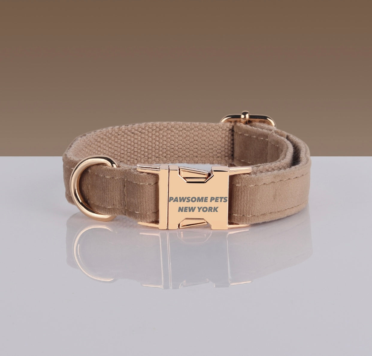 PAWSOME DOG COLLAR - #8