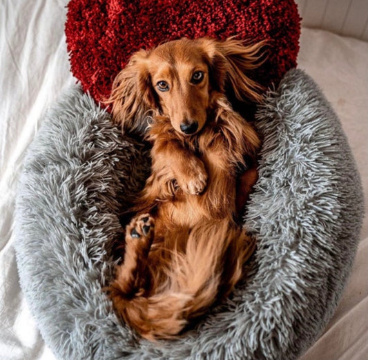 Marshmallow Pets Bed [HOT Selling!]31.13