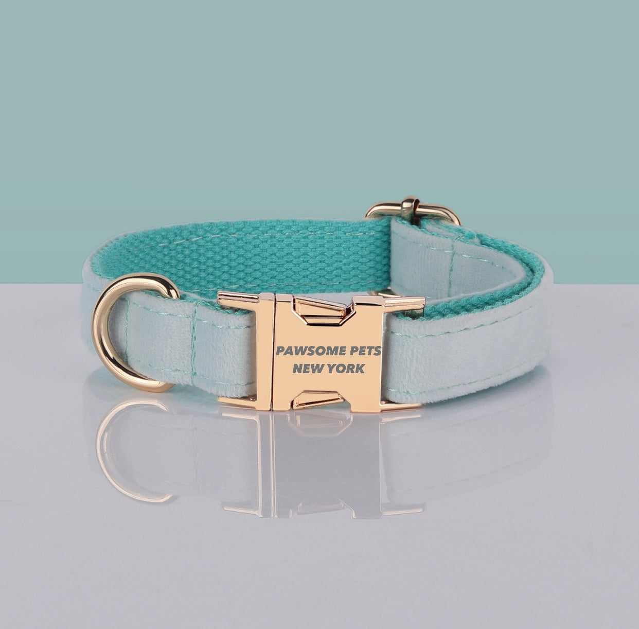 Mint Teal Velvet Dog Collar with Gold Buckle – XS to XL