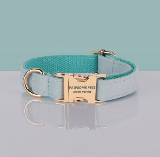 Mint Teal Velvet Dog Collar with Gold Buckle – XS to XL