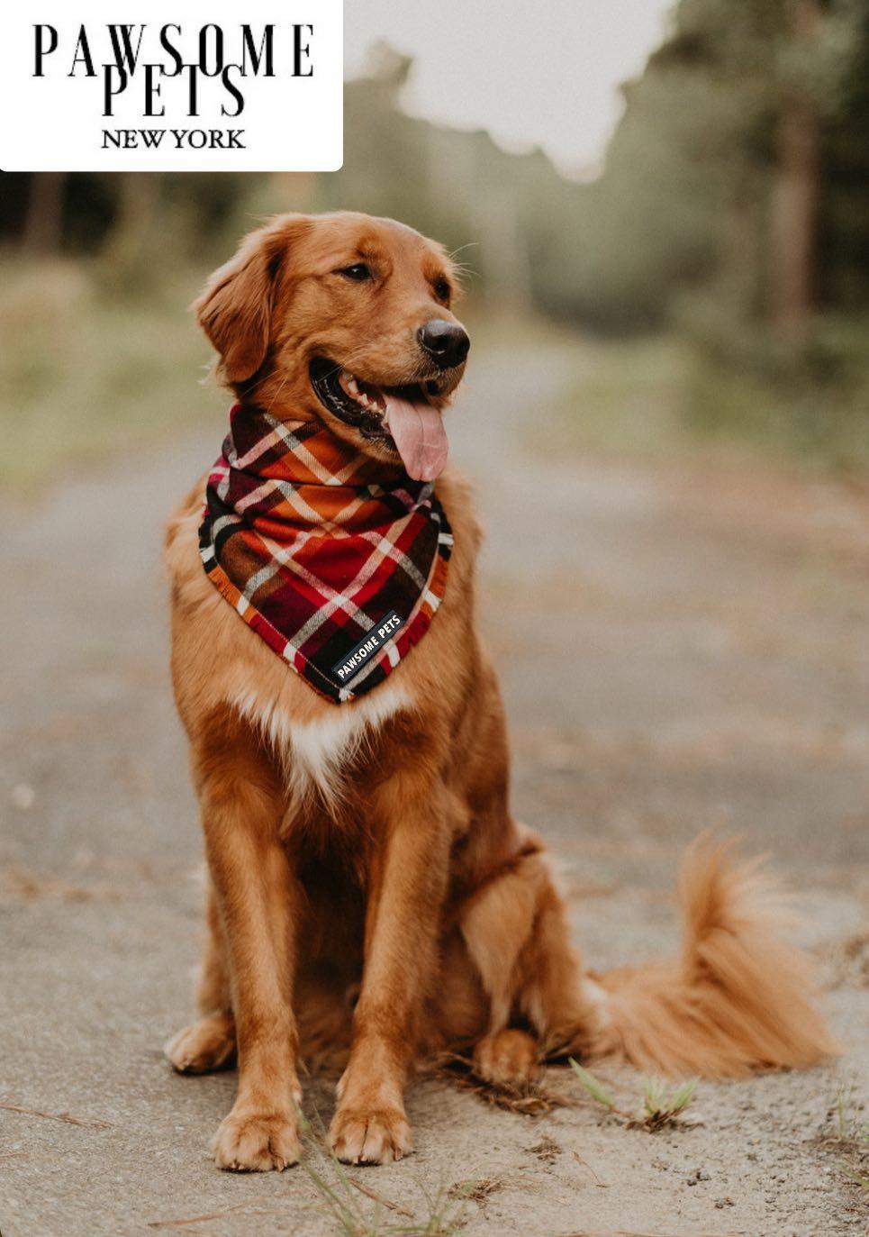 PAWSOME PETS BANDANA - HARVEST