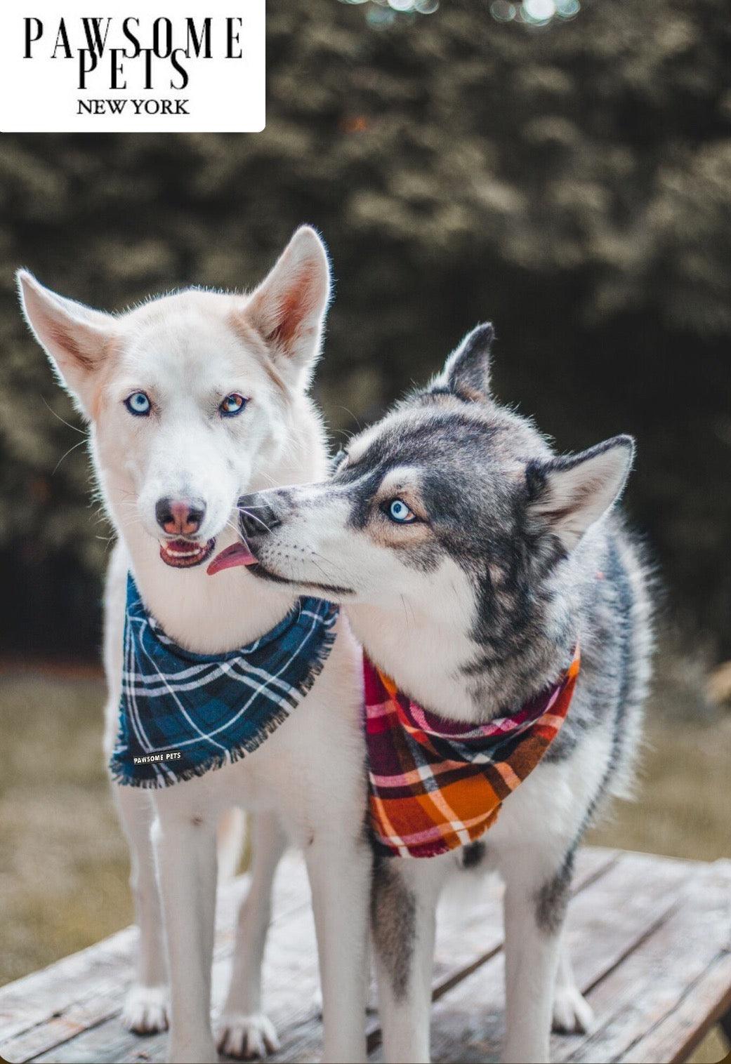 PAWSOME PETS BANDANA - HARVEST