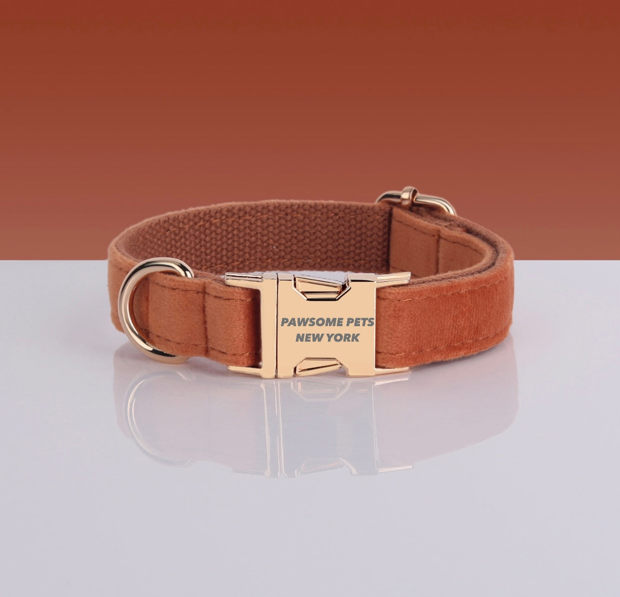 Terracotta Dog Collar with Gold Buckle – XS to XL