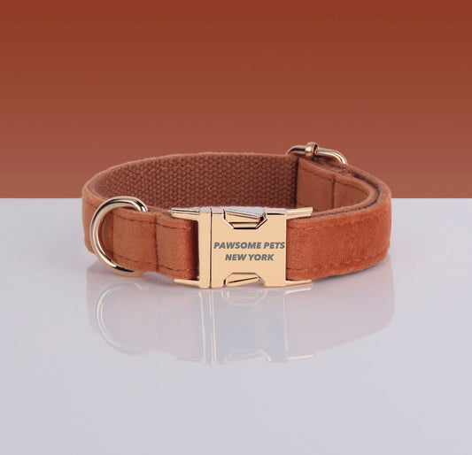 Terracotta Dog Collar with Gold Buckle – XS to XL