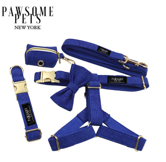 STEP IN BUNDLE - BLUE (5 PIECES)