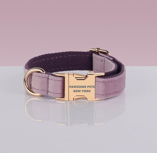 Dusty Mauve Dog Collar with Gold Buckle – XS to XL