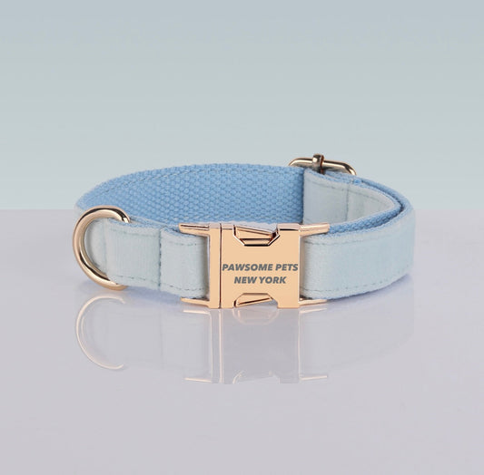 Powder Blue Dog Collar with Gold Buckle – XS to XL