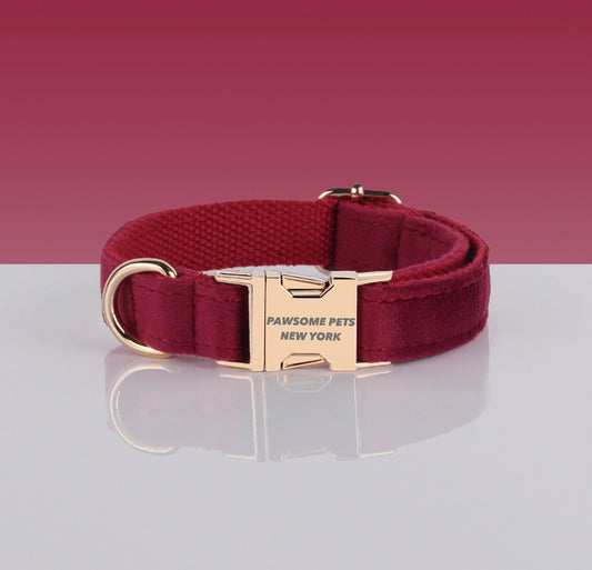 Burgundy Red Velvet Dog Collar with Gold Buckle – XS to XL