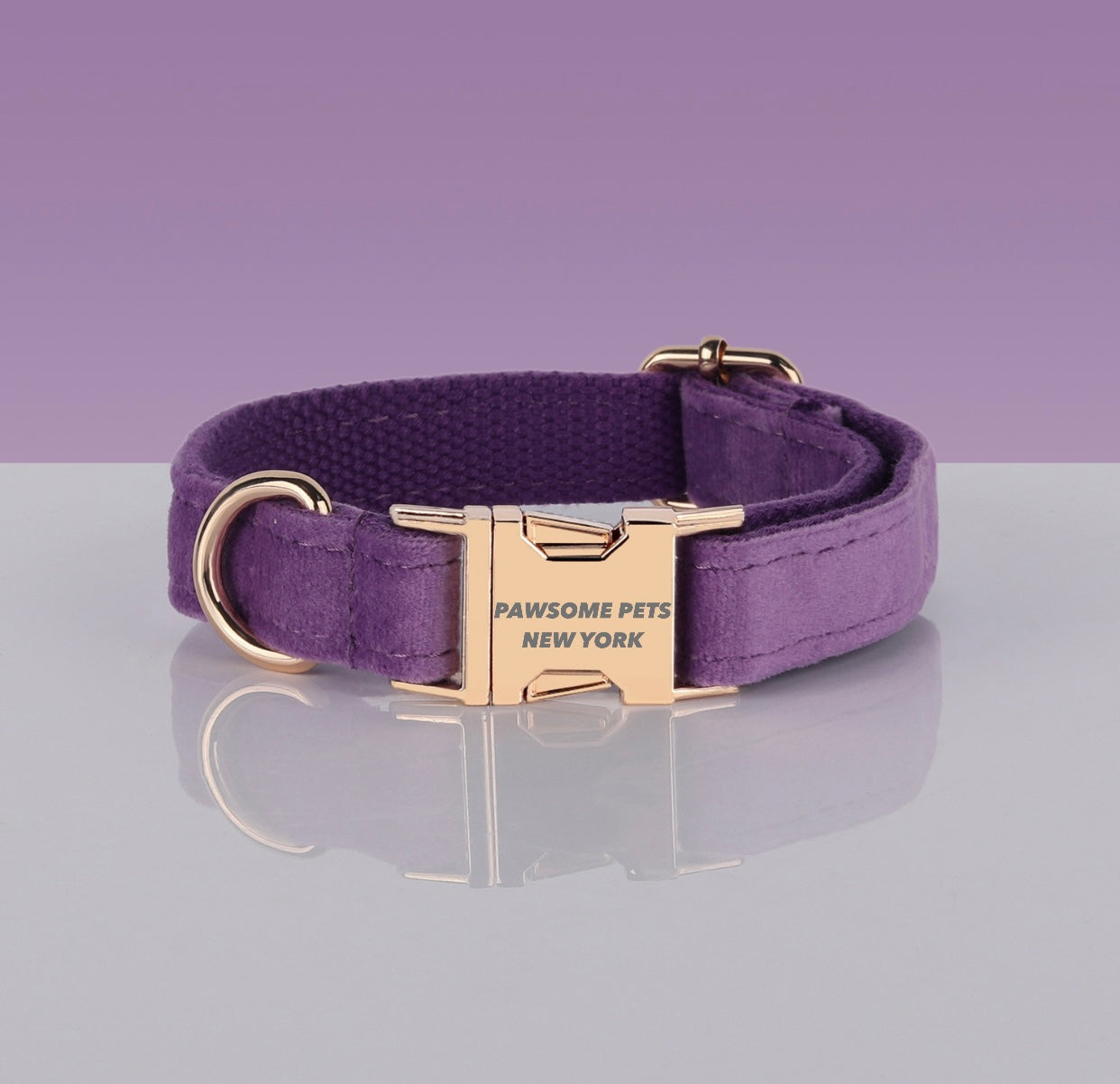 Lilac Purple Velvet Dog Collar with Gold Buckle – XS to XL
